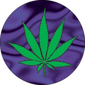 1.25 inch button of a marijuana leaf with purple background