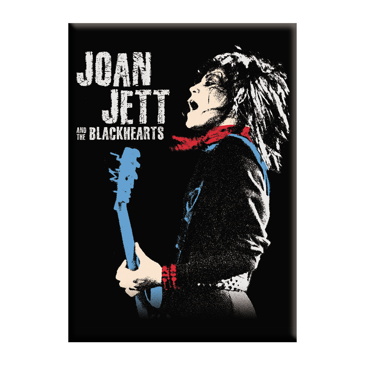 Joan Jett & the Blackhearts – C&D Visionary